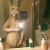 maritza vergara - @maritza.vergara72 - TikTok