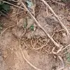 Wilson Maritza - @wilson.maritza - TikTok