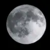Marium Javed - @marium._.javed - TikTok