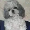 mariakautzmann - @mariakautzmann - TikTok