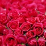@marium_memon98 - Instagram