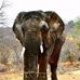 Marius Badenhorst - Facebook