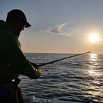 Marius Bosman - @mariusbosman78 - Instagram