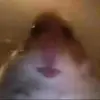 😂😂 - @marius.christensen - TikTok