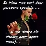 Marius Coman - @marius4148 - Instagram