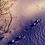 Marius Dragan - @dragan_marius1969 - Instagram