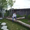 mariusdragan2063 - @mariusdragan2063 - TikTok
