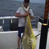 Marius Grobler - @marius.grobler5 - TikTok