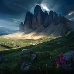 Marius Hille - @hillemarius - Instagram