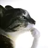 Marius Marin - @mariusmarin2006 - TikTok