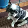 Marius marin - @marin.marius19 - TikTok