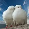 Marius Marin - @marius.marin62 - TikTok
