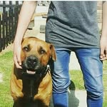 marius-michael-diedericks - @marius_michael_diedericks - Instagram