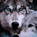 Marius Mostert - Facebook