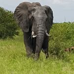 Marius Smit - @marius.smit.5015 - Instagram