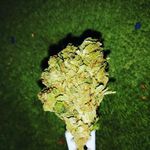 Marius Smith - @mariussmith278 - Instagram