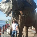 Octavian Marius Surlea - @octavianmariussurlea - Instagram