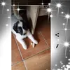Marius Tanase - @mariustanase1556 - TikTok