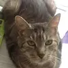 Marius Titus - @marius.titus8 - TikTok