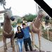 Marivel Luna - Facebook