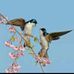 Marivel Miranda - Facebook