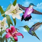 Marivel Mora - Facebook