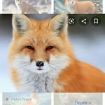 Марічка - @mariya_fox_2020 - Instagram