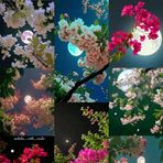 Mariya Khan Mariya Khan - Facebook