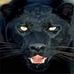 Mariya Lebedeva travels - Facebook