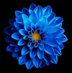 Mariya Mathews - Facebook