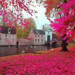 Mariya May - Facebook