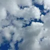 Mariya May - @mariha2006 - TikTok