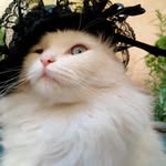 Mäřïýä  wolf9 - @mariya.wolf9 - Instagram