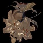 Mariyah Walker - Facebook
