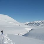 Marja Anderson - @marja.anderson - Instagram