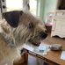 Marja Anderson - Facebook