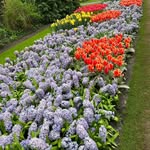marjan_akhavan2003 - @marjan_akhavan20033 - Instagram