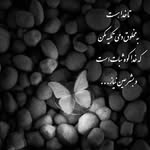 marjan_arjmandi - @marjan_arjmandi3 - Instagram