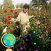 Marjan Arman - Facebook