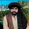 walimarjandarman5 - @wali.marjan.darma - TikTok
