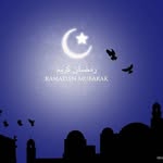 marjan daneshvar - @ig8gufu - Instagram