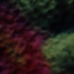 marjan daneshvar - @marjan.daneshvar_585126 - Instagram
