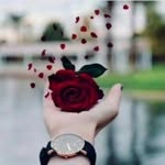 Marjan Daneshvar - @spidar_md - Instagram
