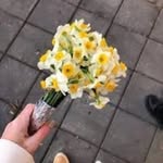 @marjan.darabi022 - Instagram