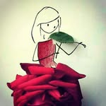 marjan darab - @marjan.darab0663 - Instagram