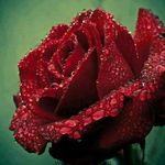 _marjan._mansouri - @__marjan_mansouri__ - Instagram