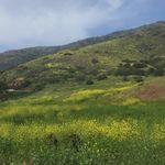 Marjan Mansouri - @marjan9314 - Instagram