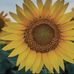 Marjean Johnson - Facebook