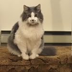 Marjorie Ash - @ashmarjorie65 - Instagram