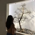 Marjorie Banton - @marjuritay - Instagram